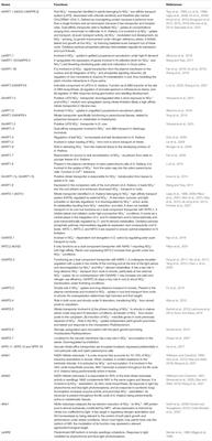 Nitrate Uptake and Use Efficiency: Pros and Cons of Chloride Interference in the Vegetable Crops